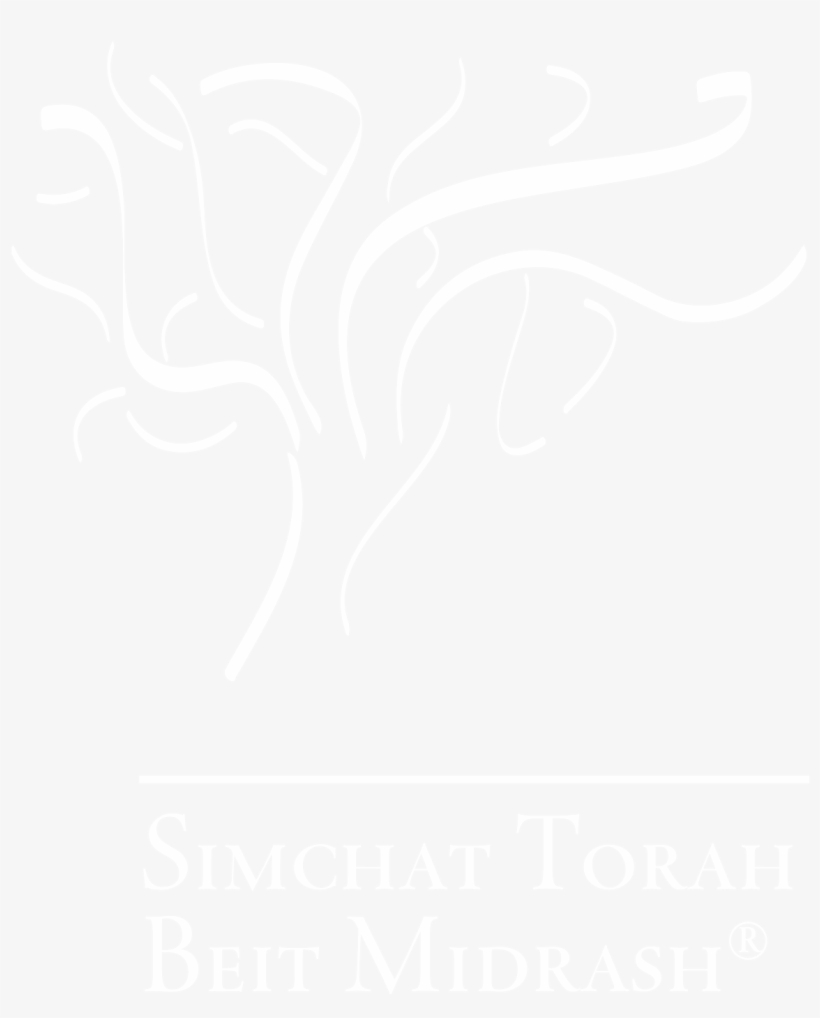 Stbm & Ralph Messer - Nba Finals Logo White, transparent png #9874843