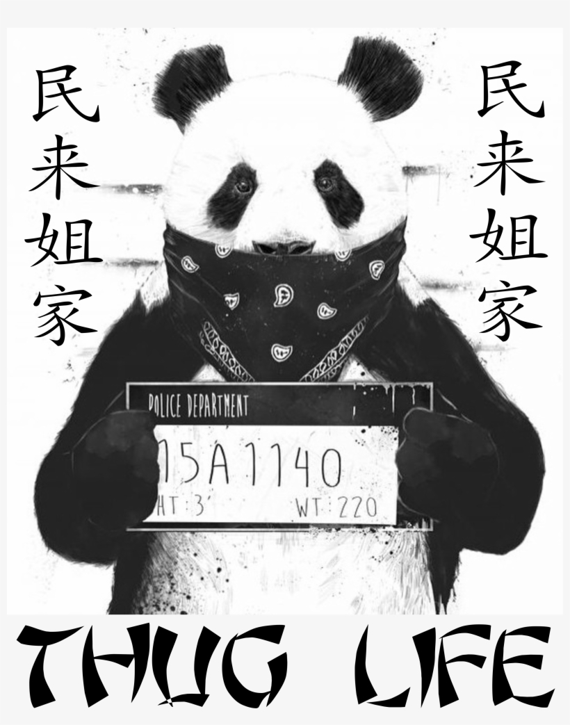 Thug Panda, transparent png #9875216