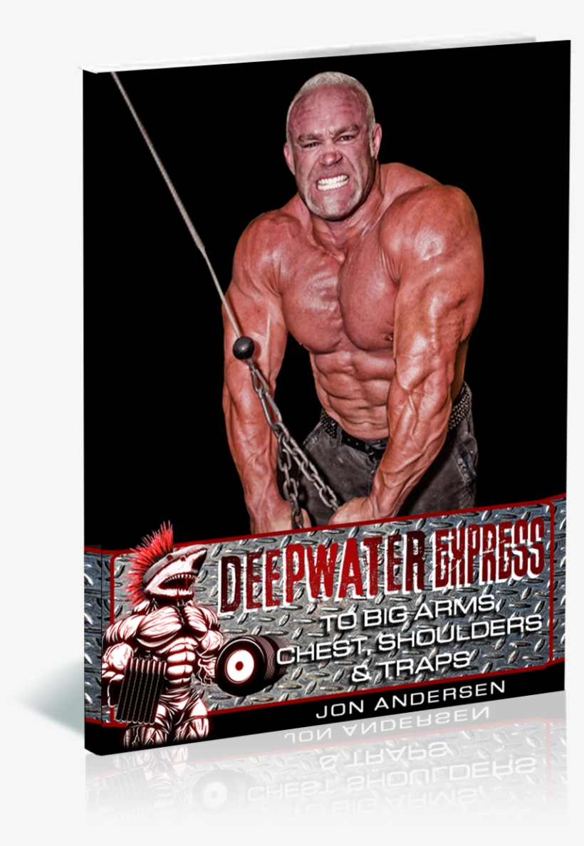Component - Bodybuilding, transparent png #9875403