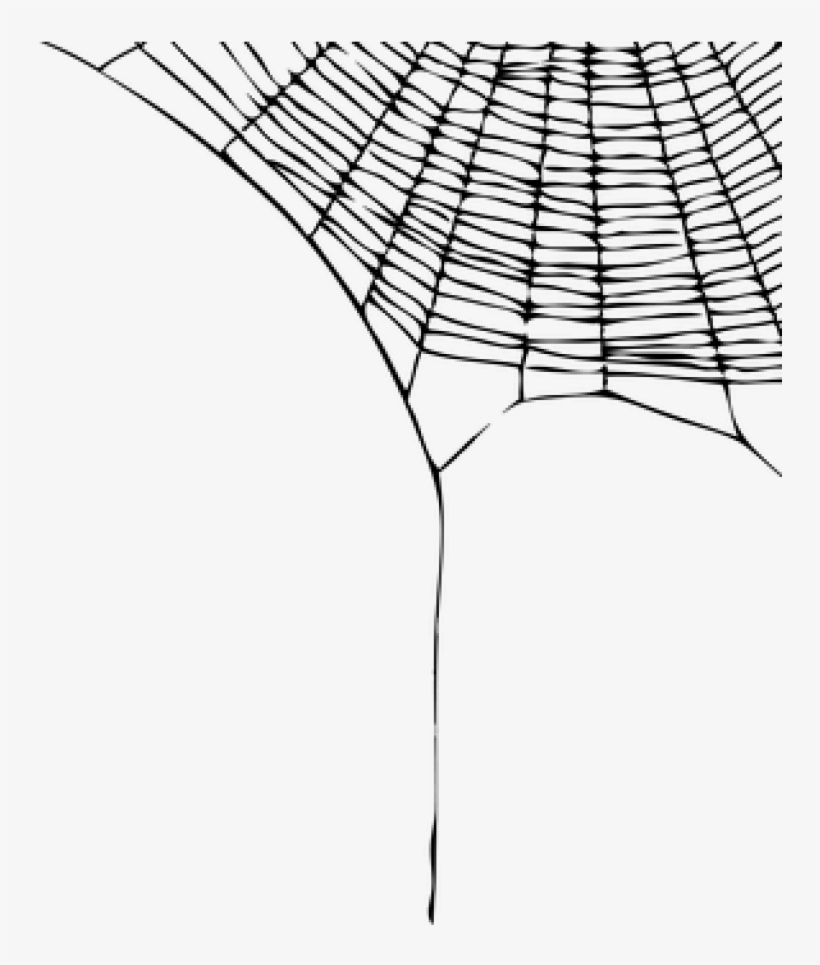 Spider Web Png Spider Web Transparent Png Stickpng - Charlotte Web Quotes, transparent png #9876358