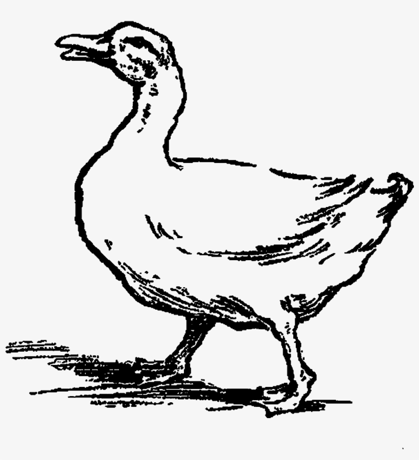 Digital Stamp Design - Duck, transparent png #9876648