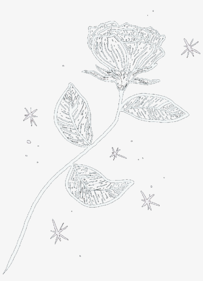 Rose Rosedrawing Handdrswibg Tumblr Tumblrrise Tumblrdoodle - Drawing, transparent png #9878236
