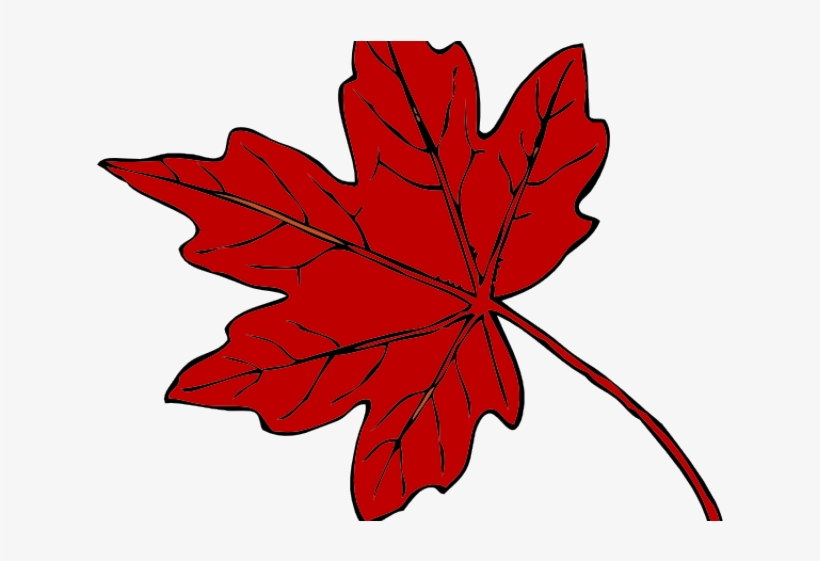 Maple Leaf Clipart Red Leaf - Thanksgiving Leaf Clip Art, transparent png #9879788