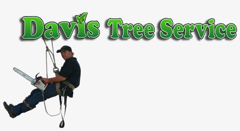 Home - Chair, transparent png #9880320