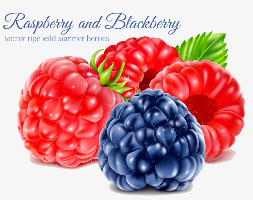 5239 X 3983 6 0 - Raspberry, transparent png #9880407