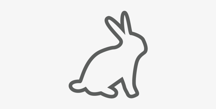 Graphic Design By Jadavprakash9 For This Project - Domestic Rabbit, transparent png #9880462