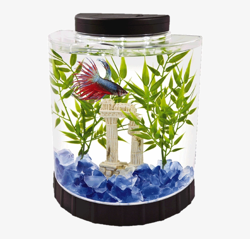 Tetra 2 Gallon Fish Tank - Betta Fish Tank, transparent png #9880468