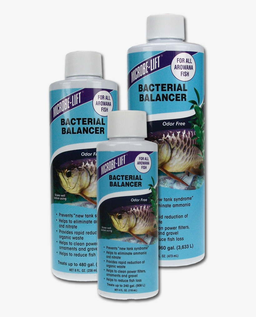 Home/home Aquarium/arowana Products/bacterial Balancer - Insect, transparent png #9880589