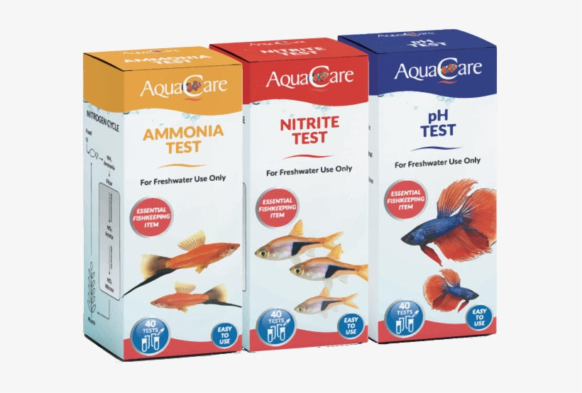 Buy Now - Carton, transparent png #9880616