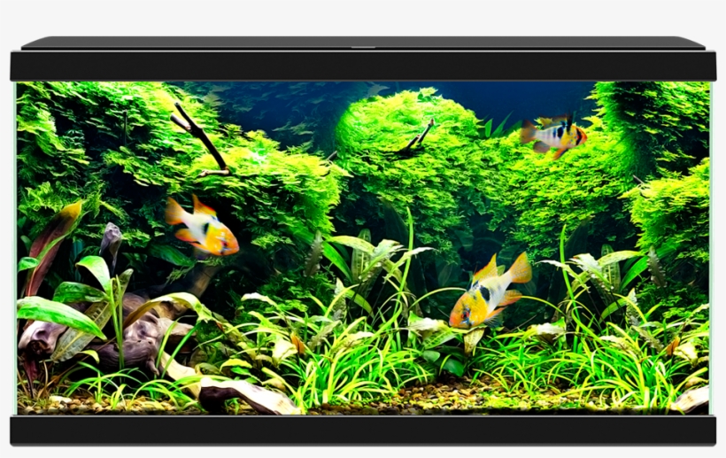 Equipment Included - Ciano Aquarium 60 Led, transparent png #9881161