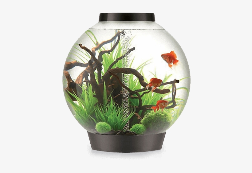 Biorb 105 Black Aquariums - Biorb Aquariums, transparent png #9881200