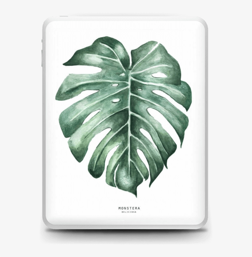 Monstera Deliciosa Skin Ipad - Monstera Watercolour, transparent png #9881371