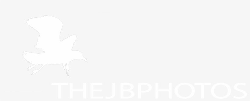 The Jb Photos Nature Photography - Sketch, transparent png #9881476