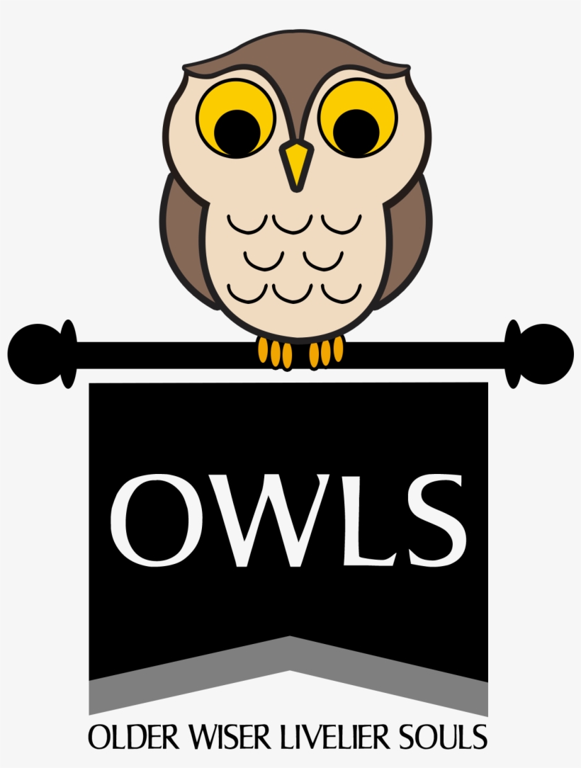 A Group Of Owls - Cartoon, transparent png #9882154