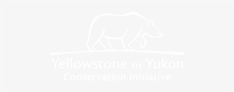 Y2y - Johns Hopkins White Logo, transparent png #9883898
