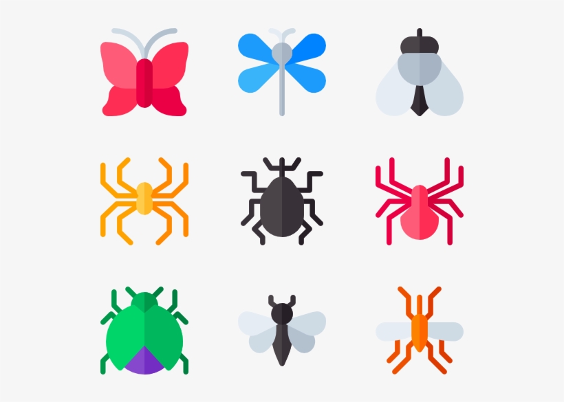 Insects, transparent png #9885460