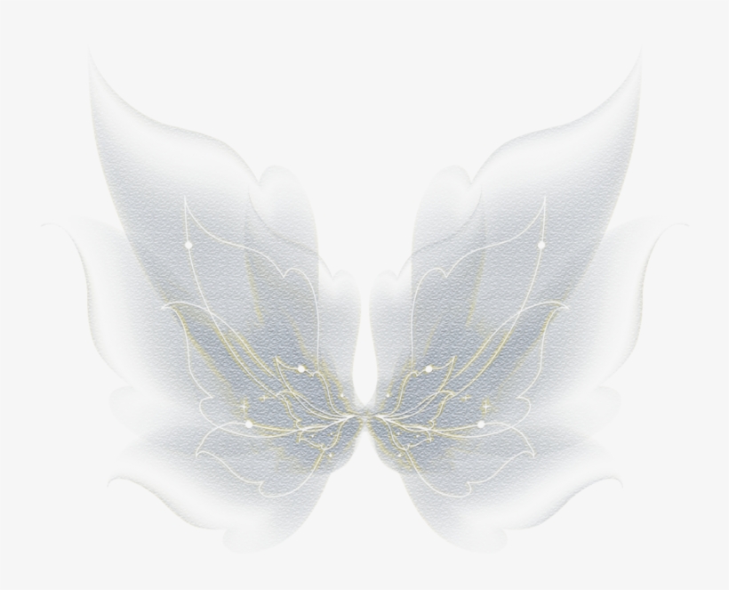 Free Butterfly Png Photo - Butterfly, transparent png #9886826