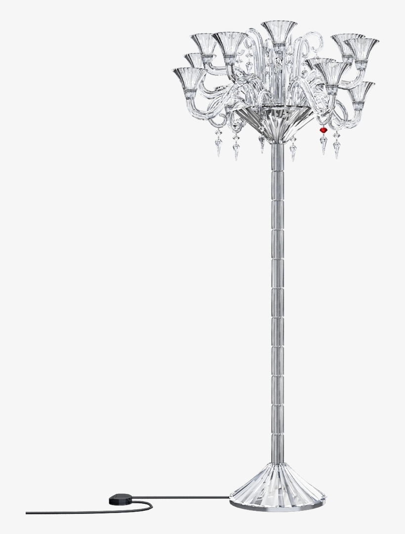 Desert Palm, transparent png #9887570