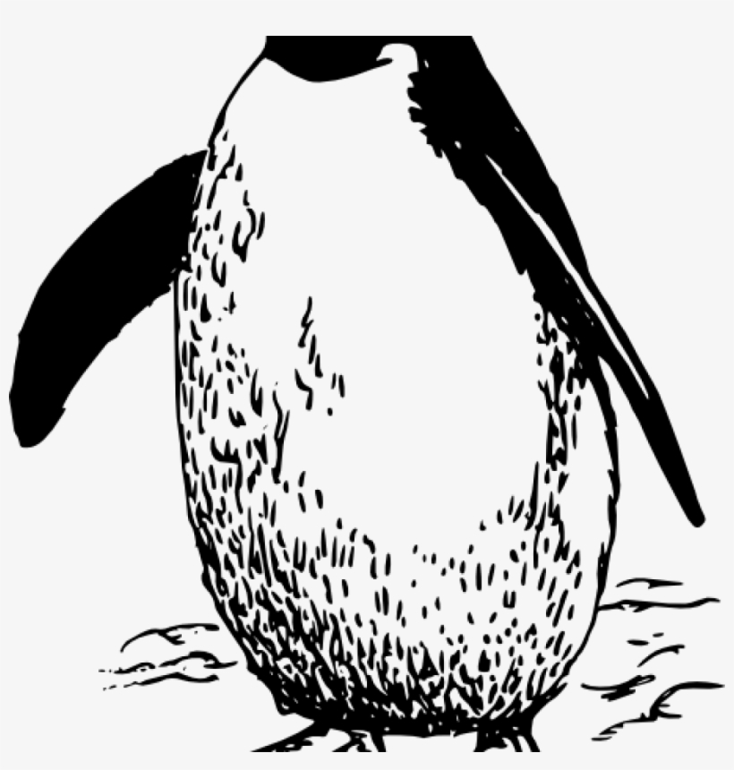 Penguin Clipart Black And White Amazing Of Penguin - Black And White Penguin Clipart, transparent png #9888956
