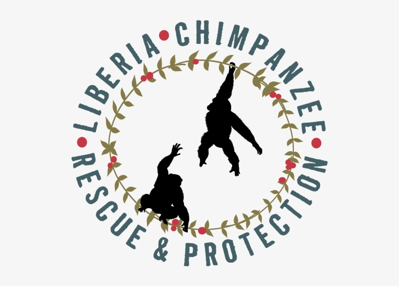Interested In Becoming A World Chimpanzee Day Partner - Silhouette, transparent png #9889282