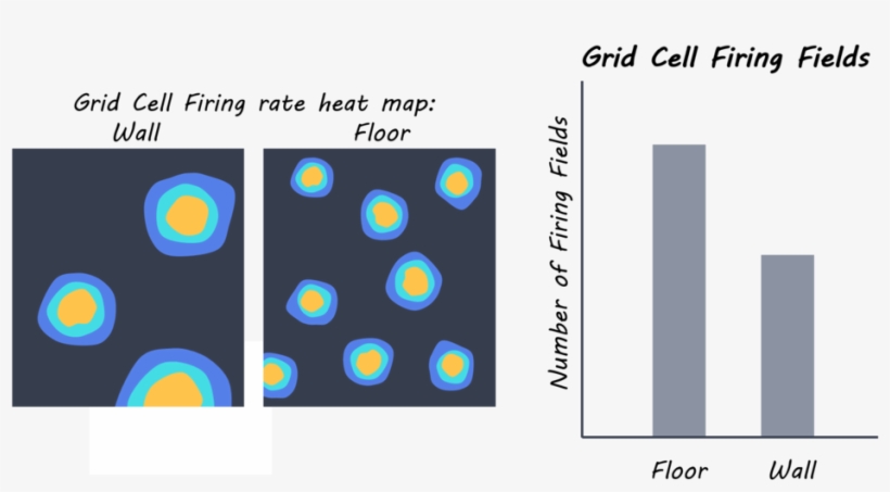 Firingcells - Circle, transparent png #9889287