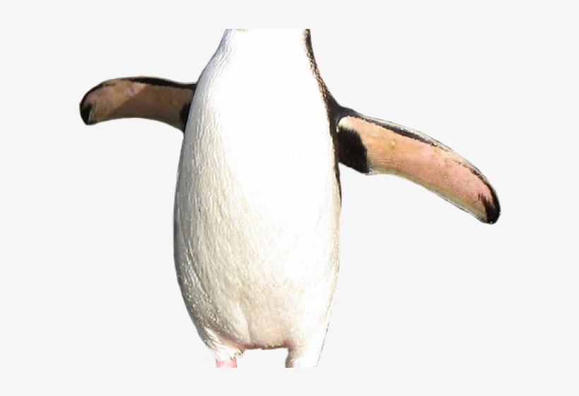Emperor Penguin Clipart Royal Penguin - Retro Penguin No Background, transparent png #9889430