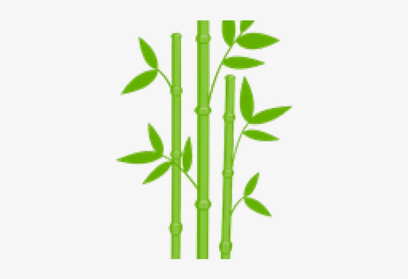 wallpapers Transparent Background Bamboo Tree Clipart bamboo clipart transparent background