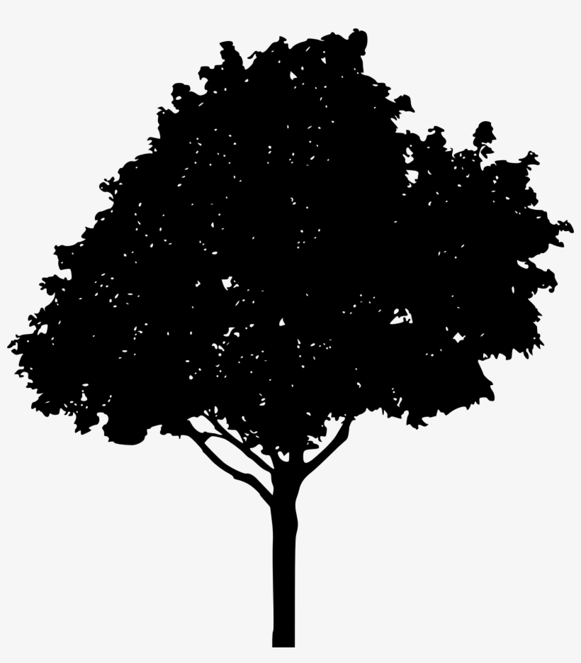 Tree Silhouette Clipart, transparent png #9891408