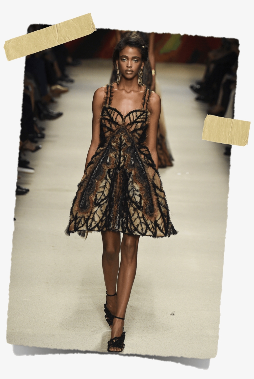 Ferretti - Fashion Show, transparent png #9891952