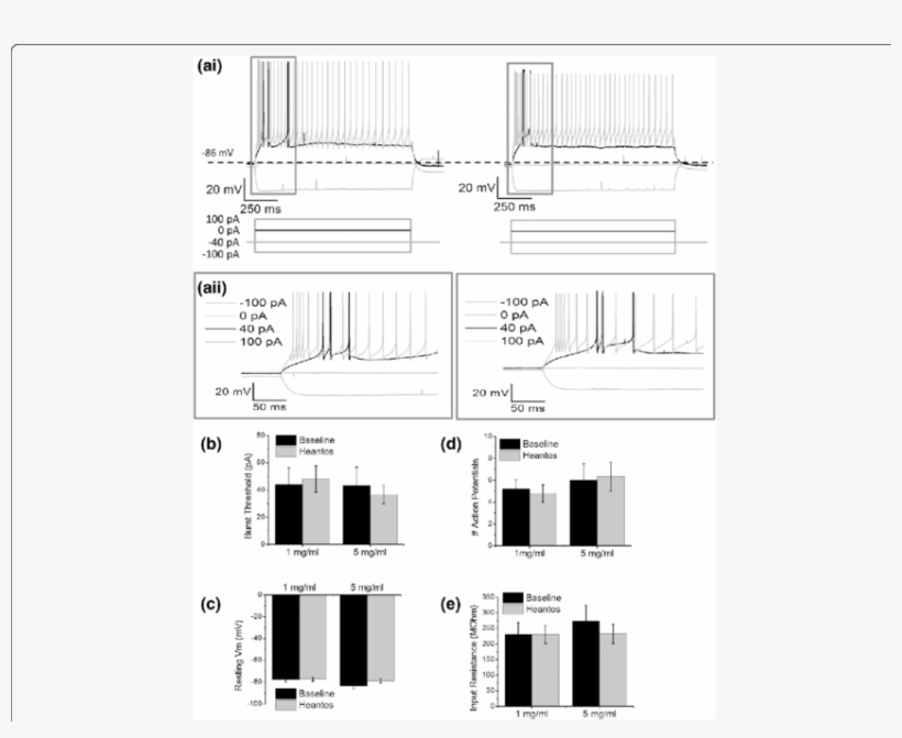 Heantos Does Not Affect Burst Firing In Trn Neurons - Diagram, transparent png #9892055