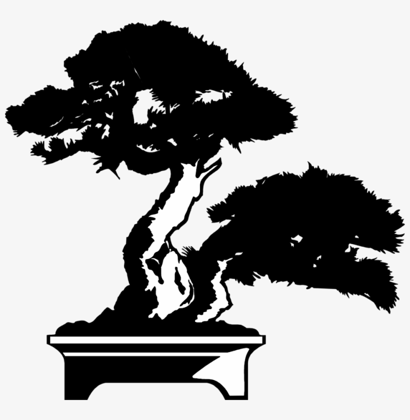 Yelm Bonsai Nursery - Bonsai Tree Clipart, transparent png #9892223