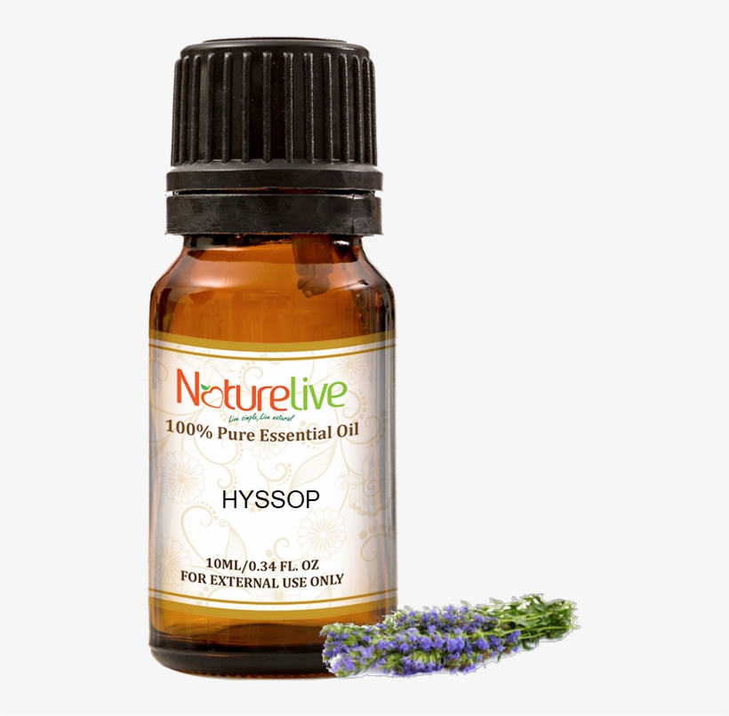 Hyssop Essential Oil 10ml - Essential Oil, transparent png #9892408