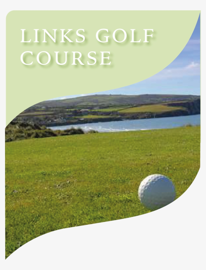 Get Together And Enjoy A Round On Our 18 Hole Links - Grass, transparent png #9892497