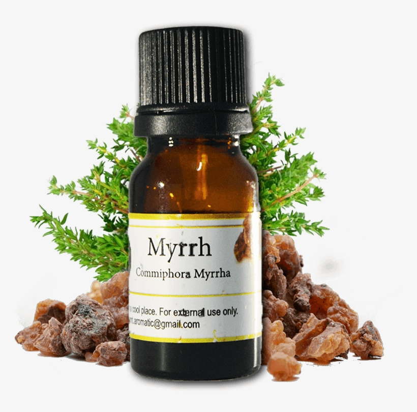 Myrrh - Sultana, transparent png #9893210