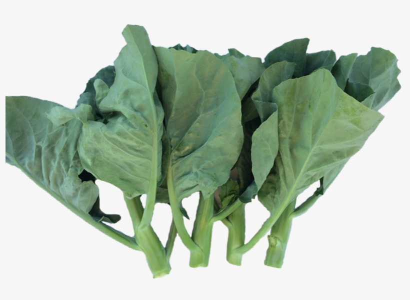 Already A Customer - Chard, transparent png #9893368