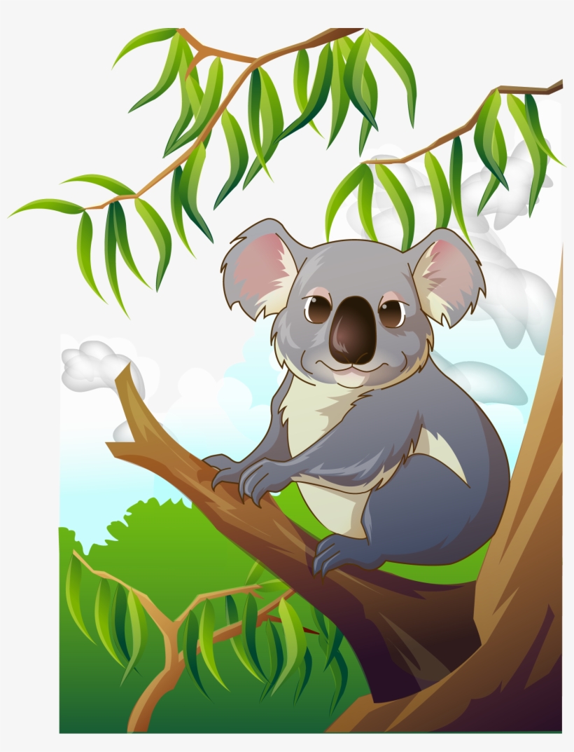 Koala Clip Art - Коала Вектор, transparent png #9894417