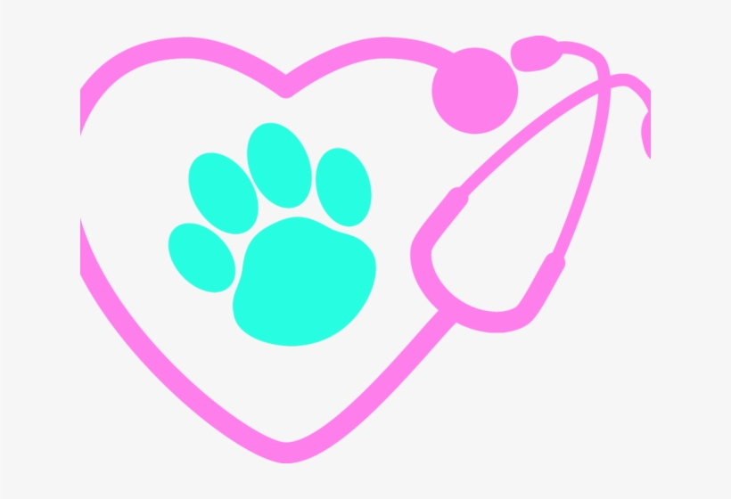 Download Paw Clipart Stethoscope Stethoscope With Heart Paw Free Transparent Png Download Pngkey SVG, PNG, EPS, DXF File
