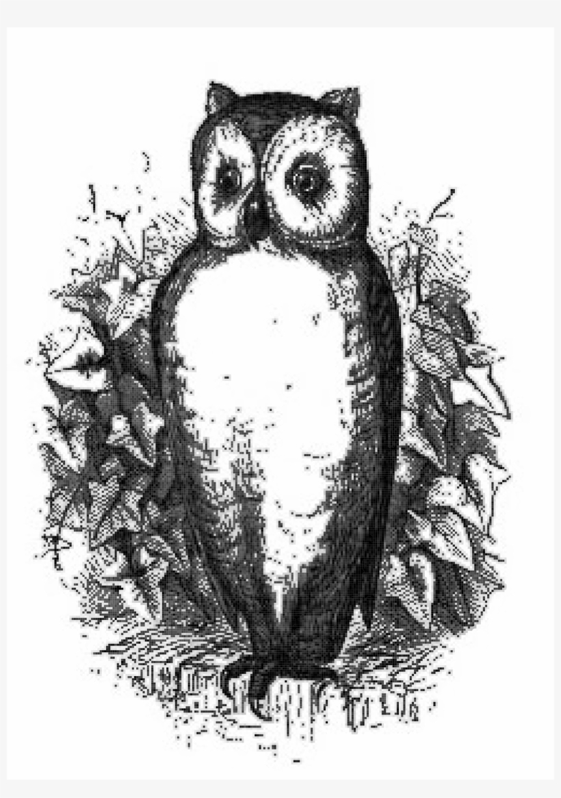 This Free Icons Png Design Of Owl Two - Great Horned Owl, transparent png #9895268