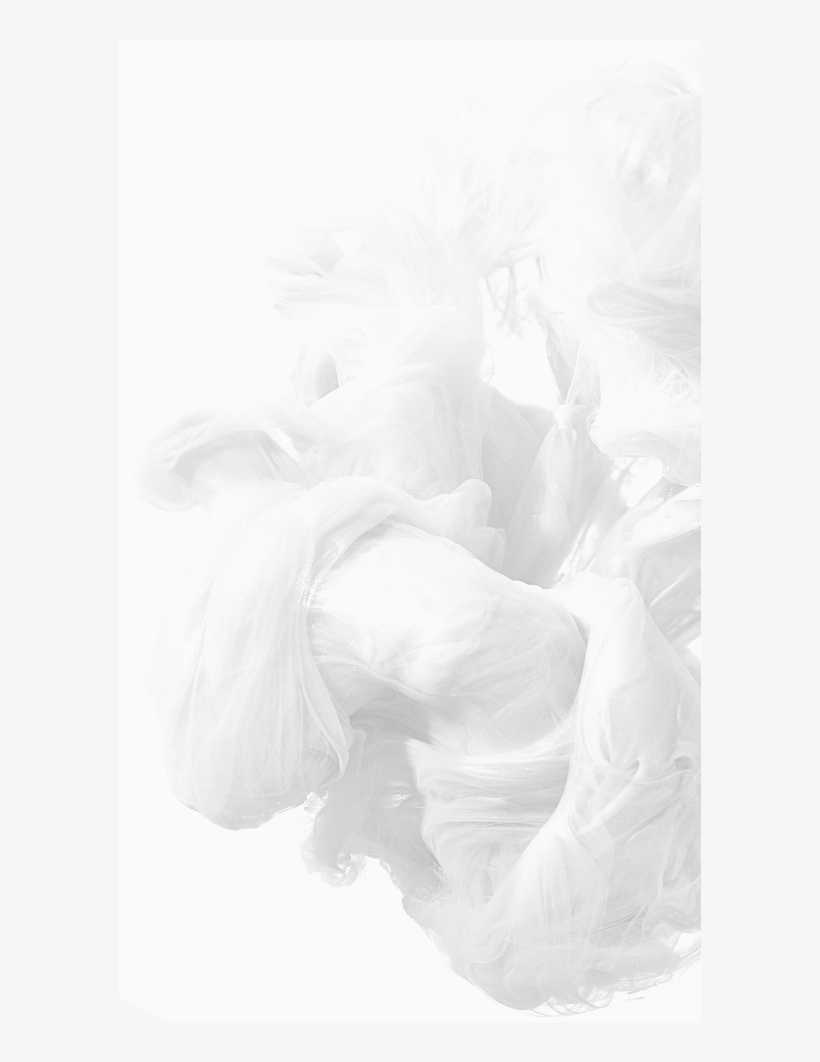 Cookie Policy - Visual Arts, transparent png #9897834