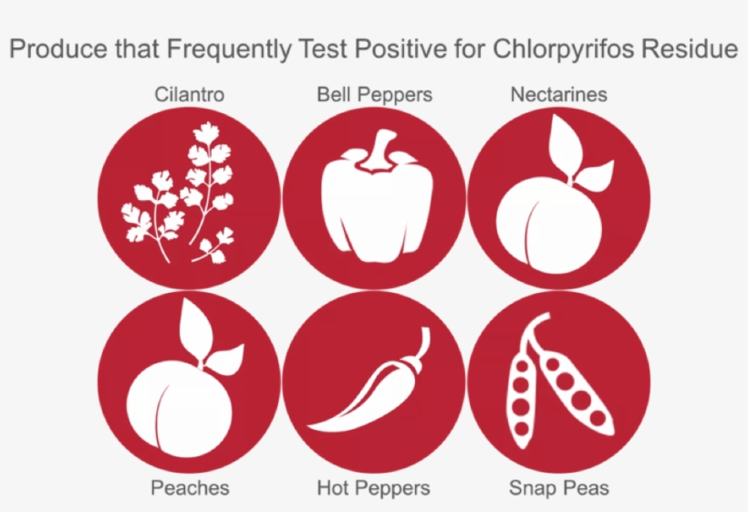Produce Most Likely To Contain Chlorpyrifos - Emblem, transparent png #9898378