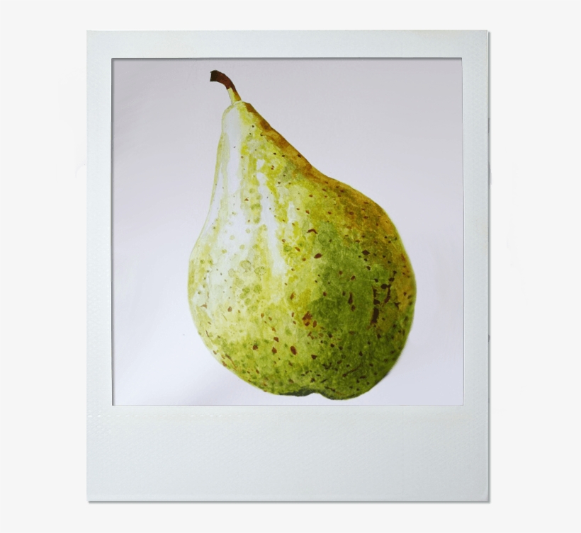 Hilary O'connell - Avocado, transparent png #9899970