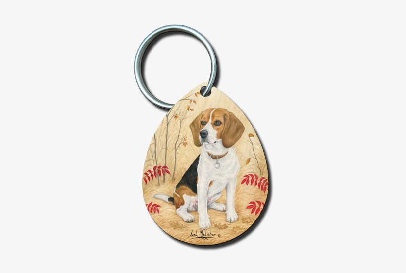 052 Beagle - Dog, transparent png #990124