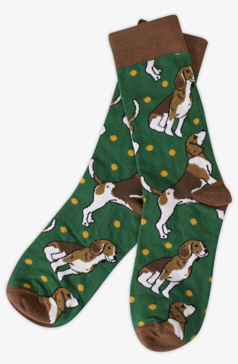 Beagle Socks - Online Shopping, transparent png #990270