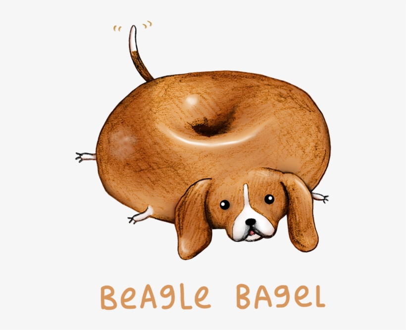 Beagle Bagel, transparent png #990334