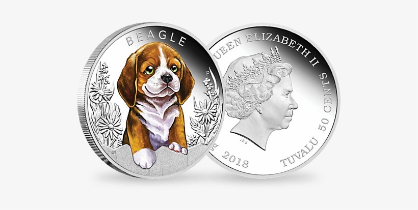 Beagle 2018 1/2 Oz Silver Proof Coin - 2018 Year Of The Dog Lunar 1oz Silver Proof Coloured, transparent png #990382