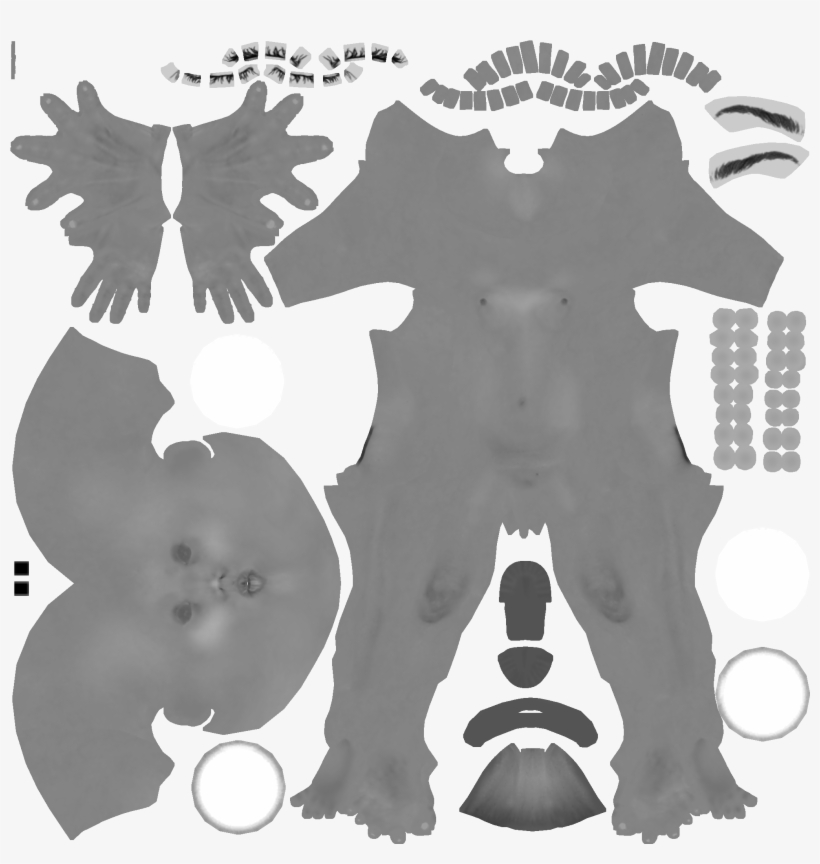 Texture Ref - Body Texture Map Psd - Free Transparent PNG Download - PNGkey