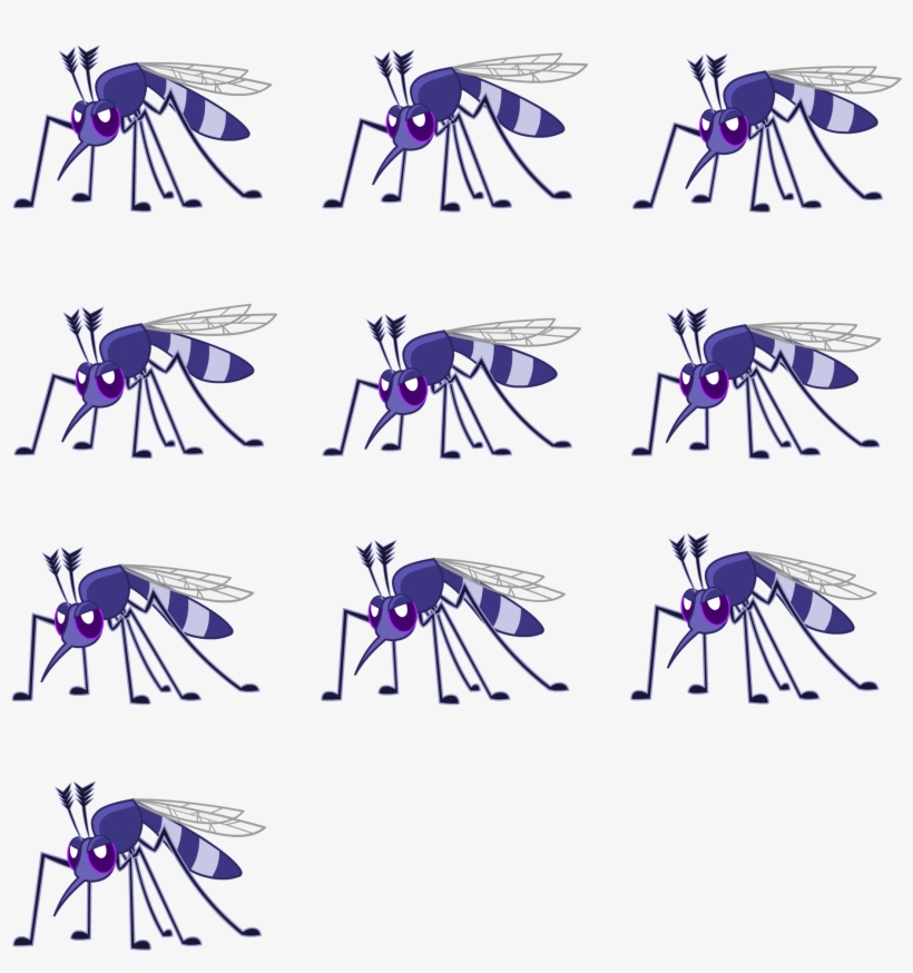 35 Pm 342429 Turtle 2/27/2013, transparent png #990969