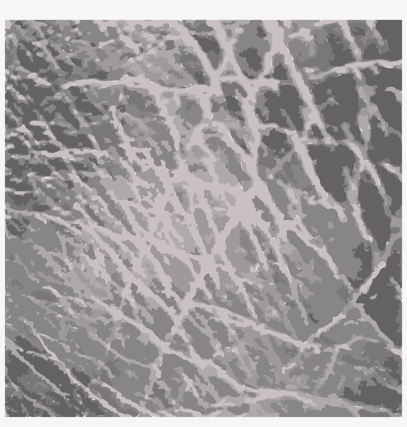 This Free Icons Png Design Of Textures From Beijing, transparent png #990998