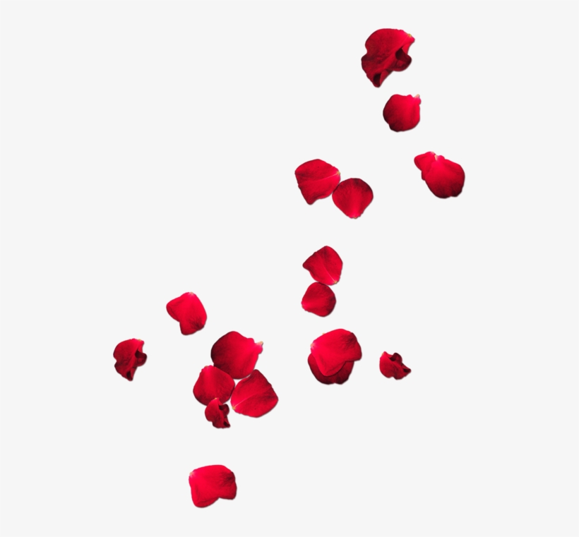 Http - //static - Tumblr - - Pursonic Fe120-rd Two-speed Rechargeable Epilator, transparent png #991313