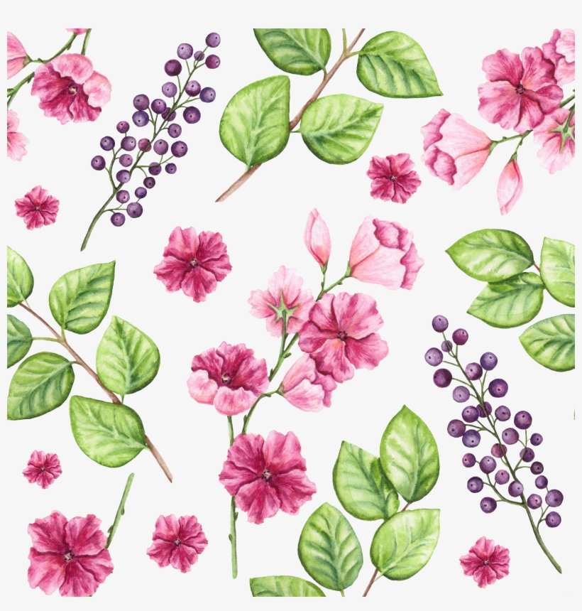 Gilliflower, transparent png #991388
